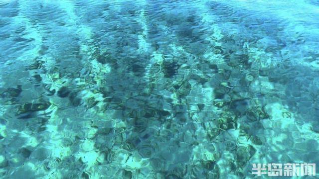 青岛女子买下70万平米小岛后续来了：目前没打算私有<strong></p>
<p>支点币圈</strong>，七八月份将带员工到岛上团建