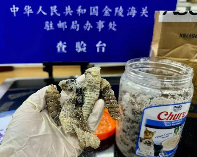 离谱！2.4斤生腌响尾蛇<strong></p>
<p>炒币必备书籍</strong>，被藏在零食罐里……