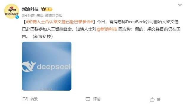 DeepSeek梁文锋用黑科技远程参加巴黎AI峰会？假的<strong></p>
<p>炒币必备书籍</strong>！