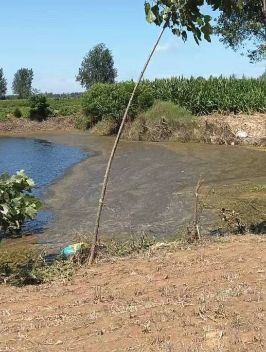 “女生遭侵犯落水被阻挡上岸至溺亡”案续：检方提起抗诉<strong></p>
<p>马兰币价格</strong>，建议死刑