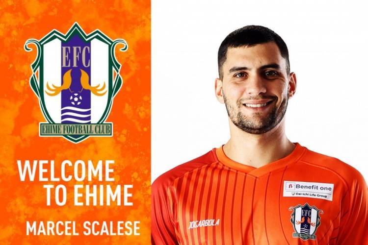 官方：前泰山外援马塞尔加盟J2球队爱媛FC<strong></p>
<p>币圈生存指南</strong>，将身披3号球衣