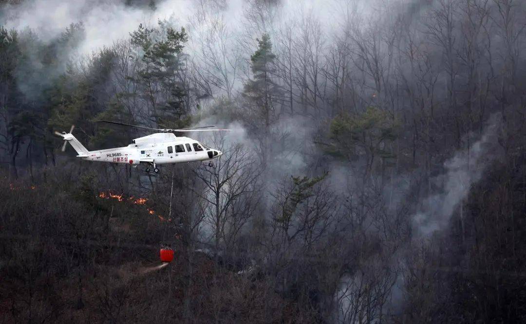 已致4名消防员遇难<strong></p>
<p>名朋圈币</strong>！多地进入“灾难状态”