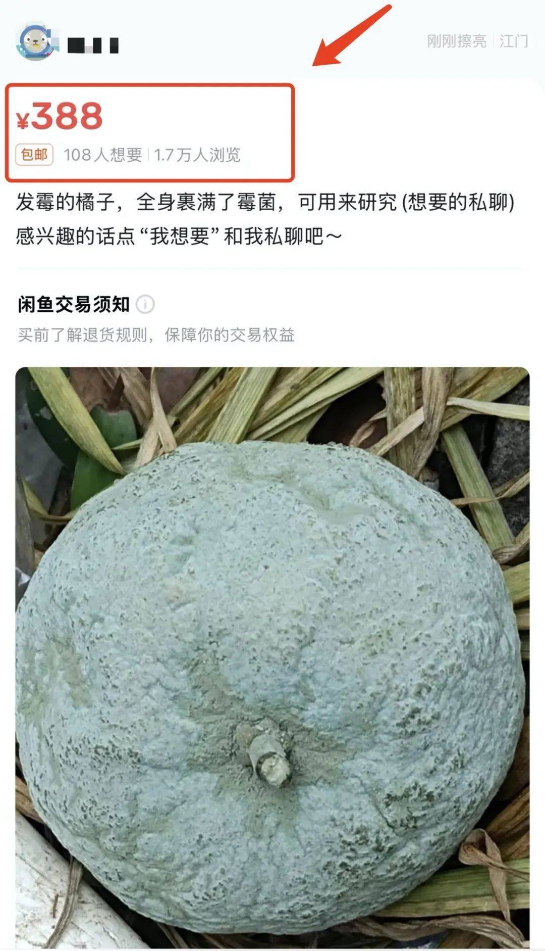 突然火了<strong></p>
<p>炒云币的风险</strong>！有人卖500元一个！网友：后悔扔了……