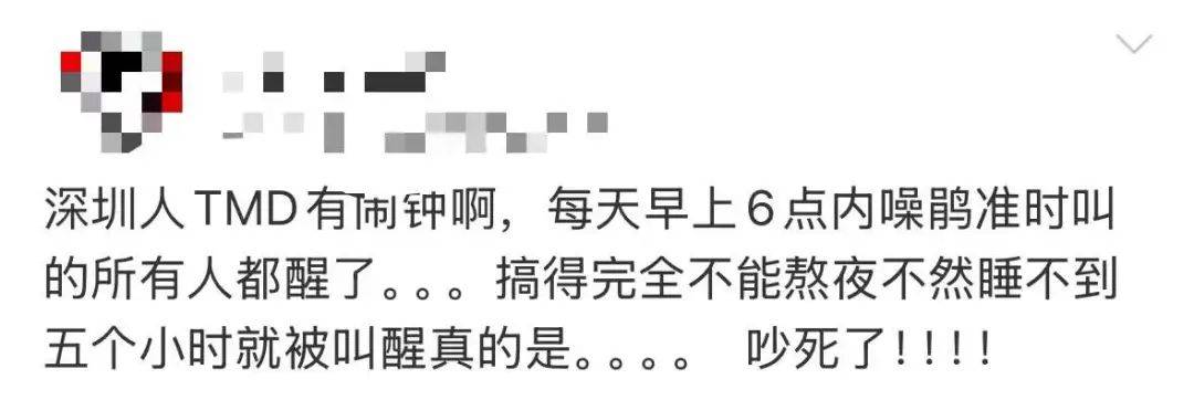 “周末想睡个懒觉都不行”<strong></p>
<p>币圈成功案例</strong>，有多少深圳人被这种鸟吵到神经衰弱