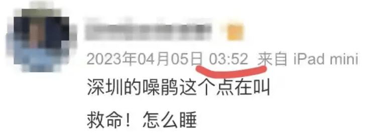 “周末想睡个懒觉都不行”<strong></p>
<p>币圈成功案例</strong>，有多少深圳人被这种鸟吵到神经衰弱