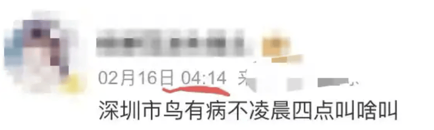 “周末想睡个懒觉都不行”<strong></p>
<p>币圈成功案例</strong>，有多少深圳人被这种鸟吵到神经衰弱