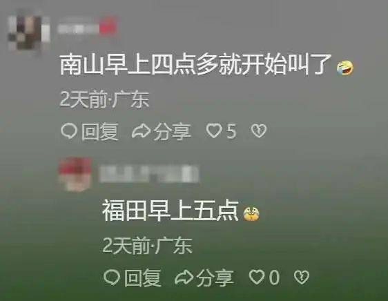 “周末想睡个懒觉都不行”<strong></p>
<p>币圈成功案例</strong>，有多少深圳人被这种鸟吵到神经衰弱