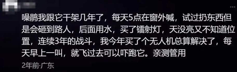 “周末想睡个懒觉都不行”<strong></p>
<p>币圈成功案例</strong>，有多少深圳人被这种鸟吵到神经衰弱