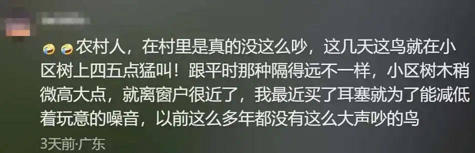 “周末想睡个懒觉都不行”<strong></p>
<p>币圈成功案例</strong>，有多少深圳人被这种鸟吵到神经衰弱
