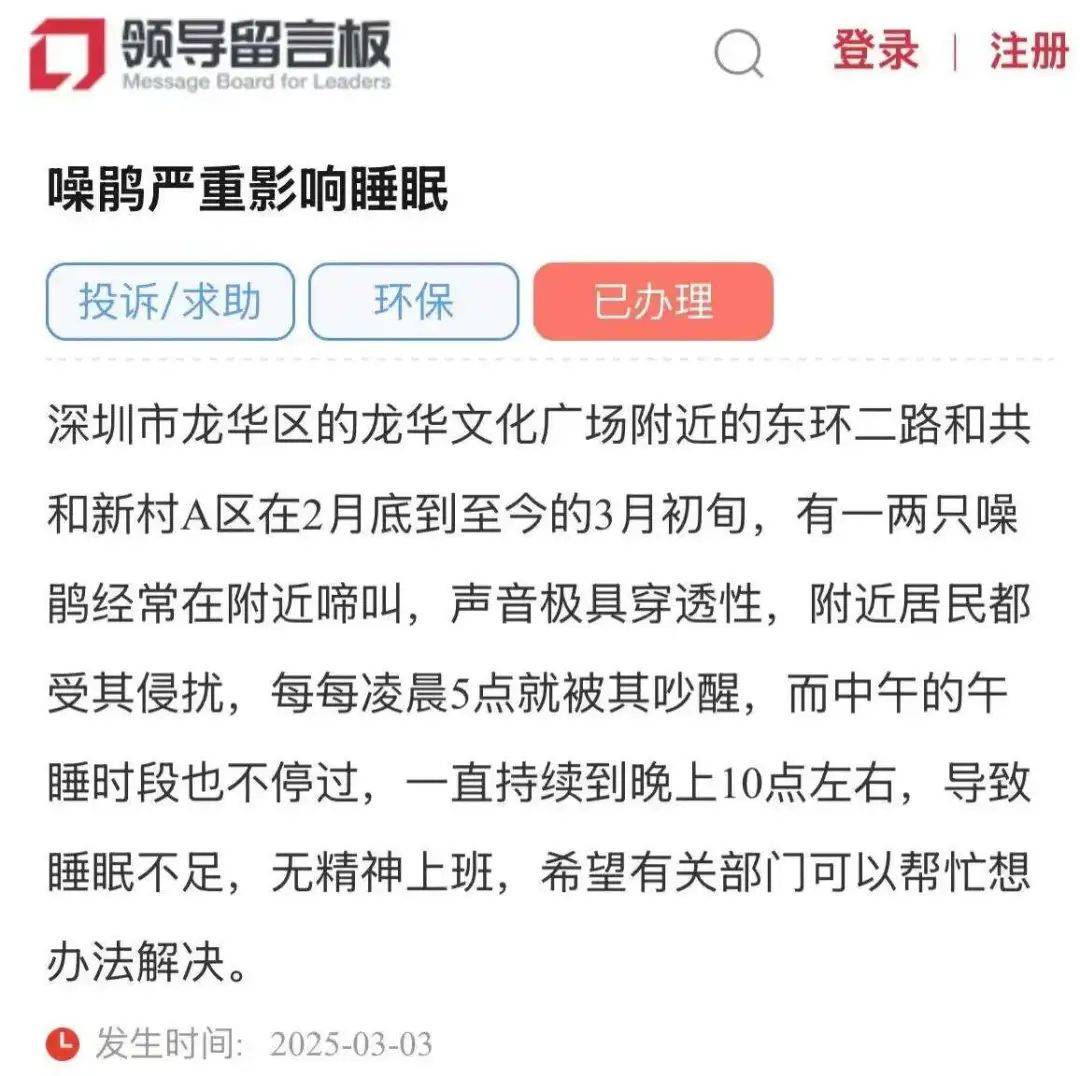 “周末想睡个懒觉都不行”<strong></p>
<p>币圈成功案例</strong>，有多少深圳人被这种鸟吵到神经衰弱