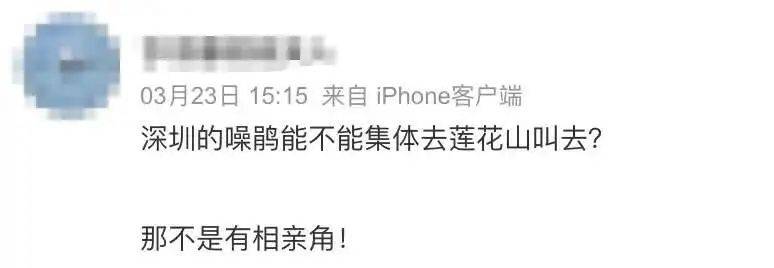 “周末想睡个懒觉都不行”<strong></p>
<p>币圈成功案例</strong>，有多少深圳人被这种鸟吵到神经衰弱