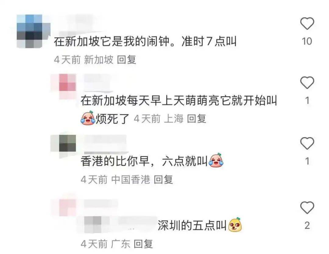 “周末想睡个懒觉都不行”<strong></p>
<p>币圈成功案例</strong>，有多少深圳人被这种鸟吵到神经衰弱