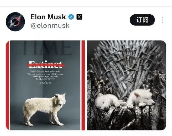 《权力的游戏》中的冰原狼被这家公司复活<strong></p>
<p>币圈生态图</strong>，马斯克发帖关注