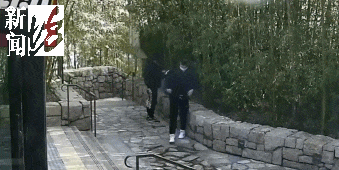 太猖狂！事发上海迪士尼<strong></p>
<p>炒币经验</strong>，7人被刑拘