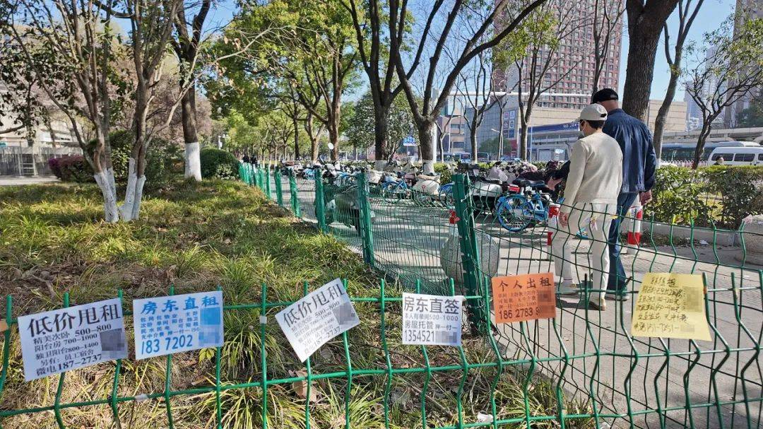 一二线城市房租普降<strong></p>
<p>炒币经验</strong>，房东主动降200留我