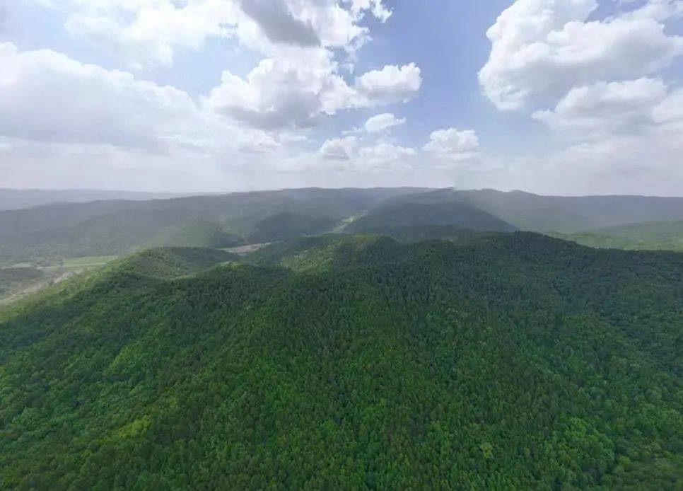 销声匿迹已有30年<strong></p>
<p>今日币圈行情</strong>，华北豹正逐渐接近北京——