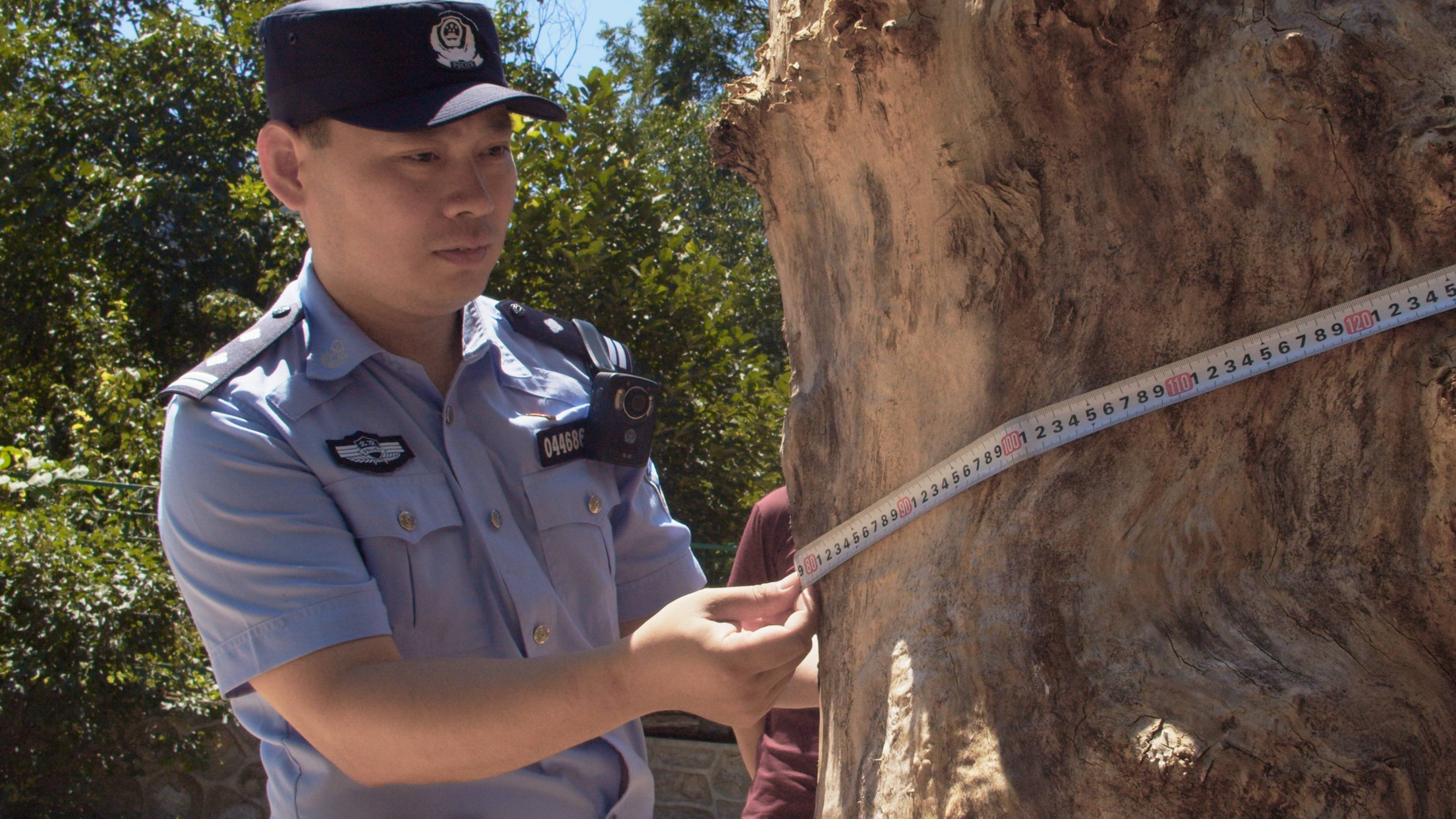 森林警察韩孟祺：乔装成驴友潜伏密林中<strong></p>
<p>炒币亏惨</strong>，抓获“粘鸟”嫌疑人