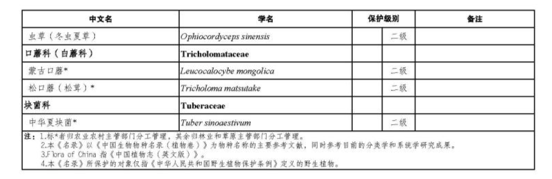 价值18万余元！男子在祁连山非法收购5632根冬虫夏草<strong></p>
<p>弈币</strong>，构成危害国家重点保护植物罪获刑