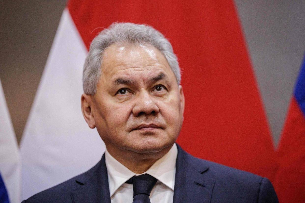 绍伊古：俄愿与美相向而行 但只相信美方具体行动