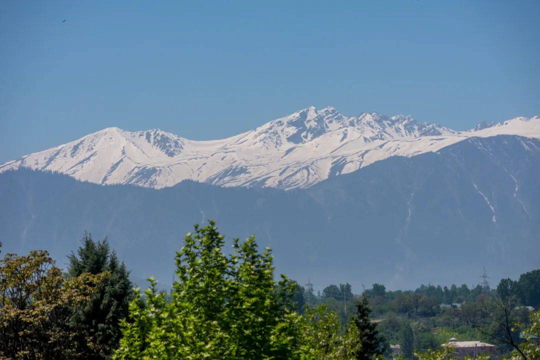 突发！巴基斯坦：击落印军无人机！印控克什米尔地区48处景点被关闭<strong></p>
<p>果币网</strong>，巴防长：不会爆发核战！中方表态