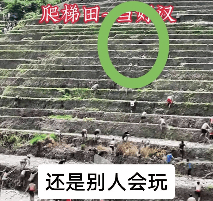 桂林一景区回应爬梯田比赛前两名半坡起跑作弊：游客赛前试爬后躺半坡，工作人员没发现