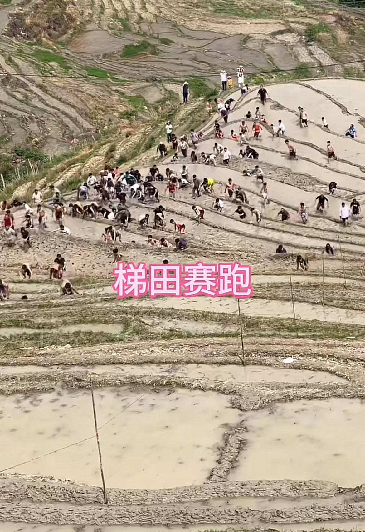 桂林一景区回应爬梯田比赛前两名半坡起跑作弊：游客赛前试爬后躺半坡<strong></p>
<p>币圈电报</strong>，工作人员没发现