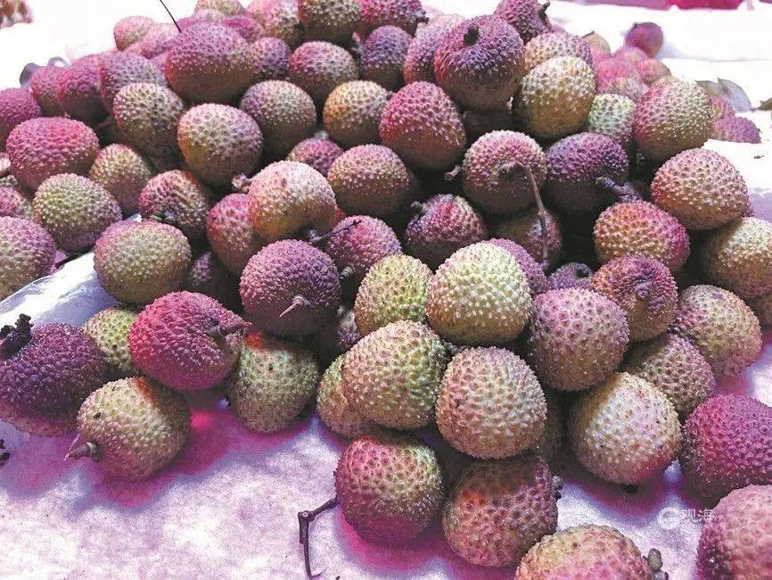 大跳水<strong></p>
<p>储备币</strong>，暴跌40%！老板：一天一个价，估计还要跌