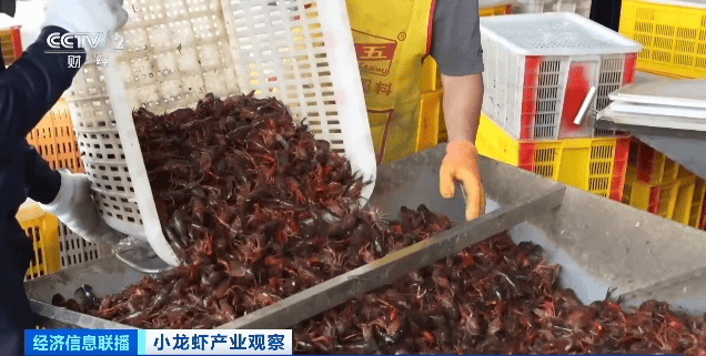 价格暴跌近50%<strong></p>
<p>币链江湖</strong>！“接下来还会降”！青岛正大量上市……