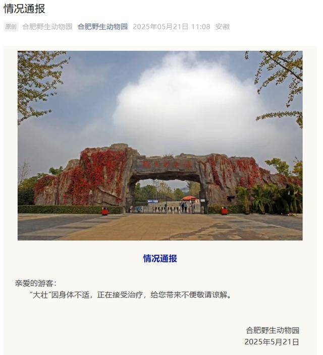 网红猴“大壮”突然离世<strong></p>
<p>添加提币地址</strong>！曾因方脸“丑”出圈