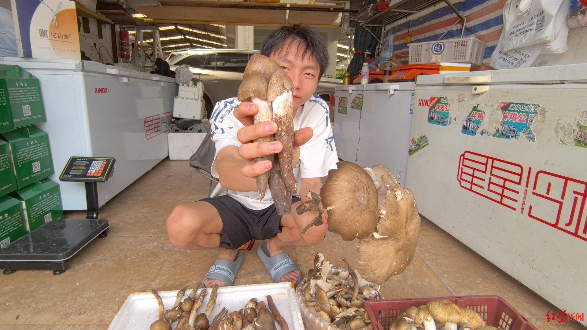 “天价”鸡枞调查：最贵卖到1800元/公斤！雨水少致产量低<strong></p>
<p>嘉信c币</strong>，多地价高客少