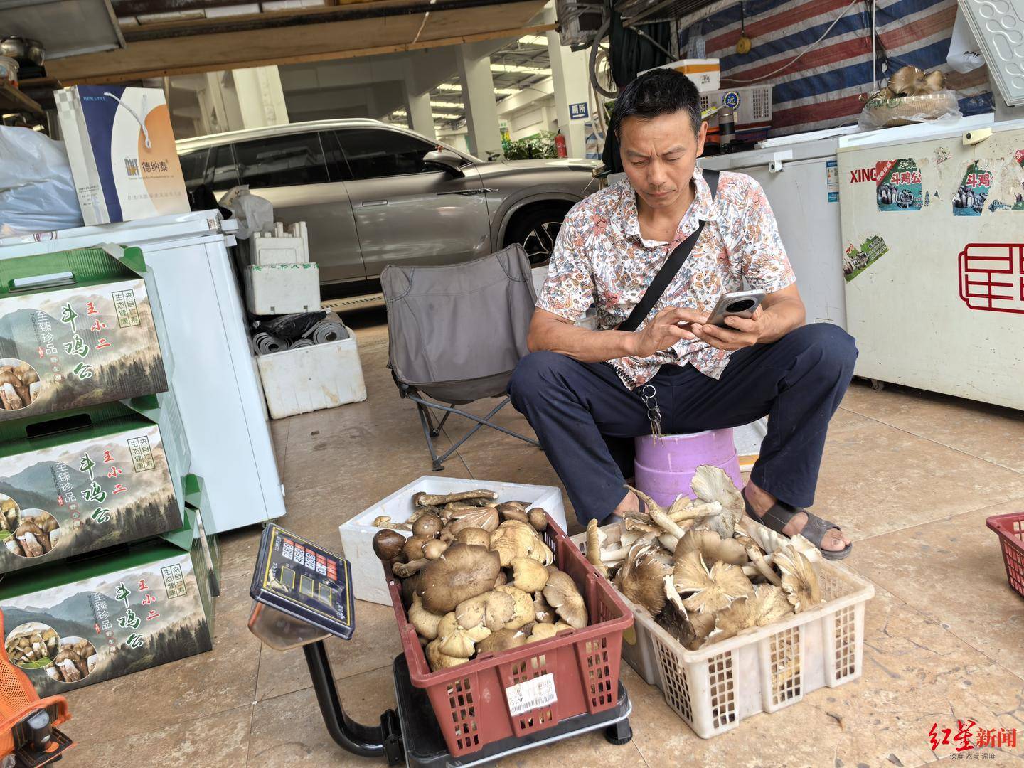 “天价”鸡枞调查：最贵卖到1800元/公斤！雨水少致产量低<strong></p>
<p>嘉信c币</strong>，多地价高客少