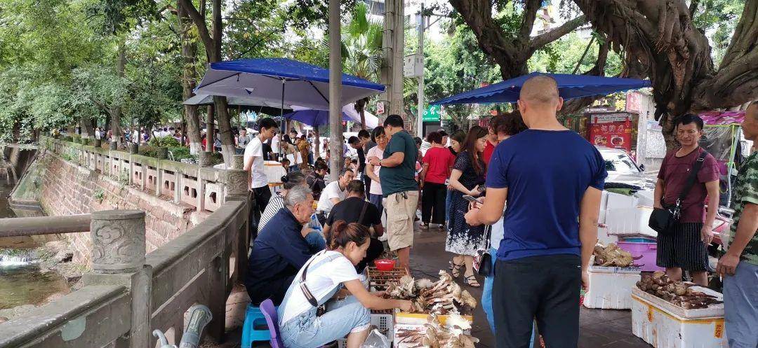 “天价”鸡枞调查：最贵卖到1800元/公斤！雨水少致产量低<strong></p>
<p>嘉信c币</strong>，多地价高客少