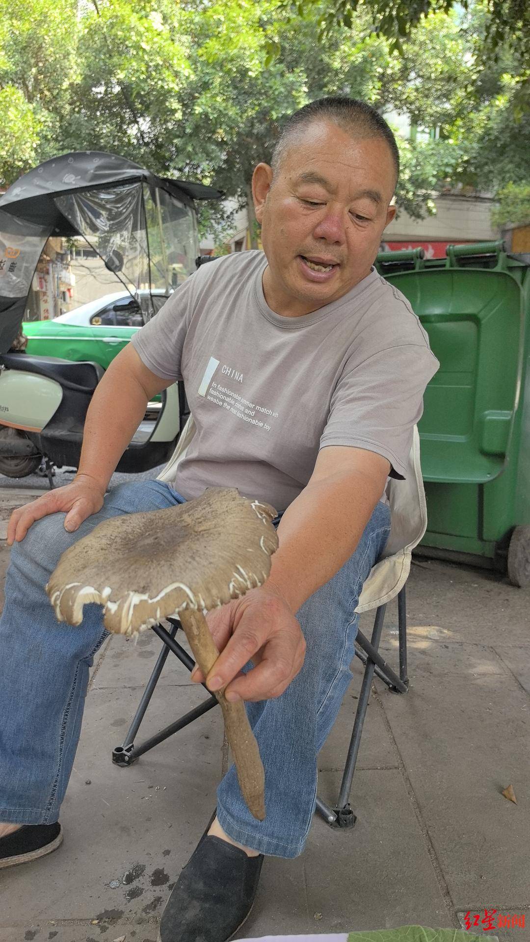 “天价”鸡枞调查：最贵卖到1800元/公斤！雨水少致产量低<strong></p>
<p>嘉信c币</strong>，多地价高客少