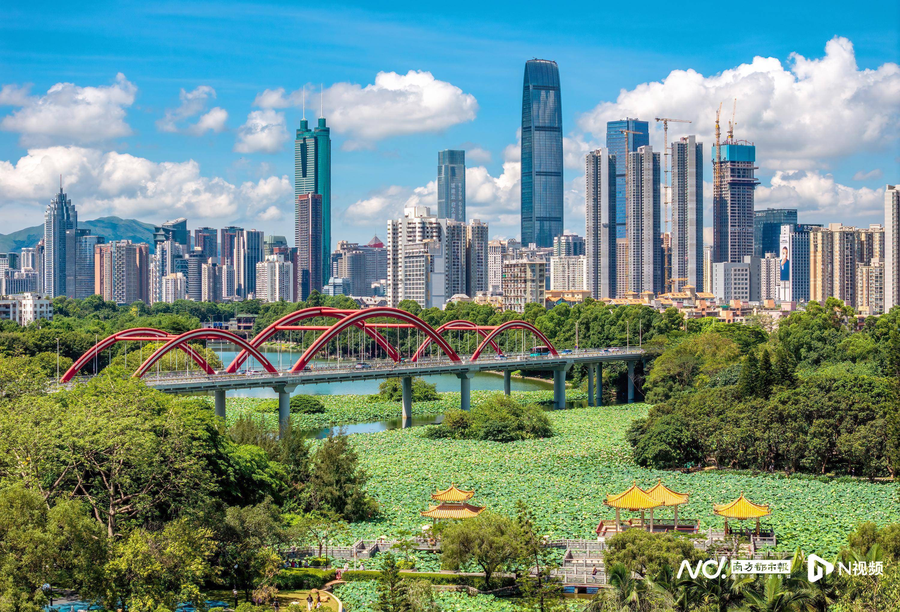 慕了！深圳人太幸福<strong></p>
<p>炒币说明</strong>，家门口邂逅百万荷花，城市诗意直接拉满