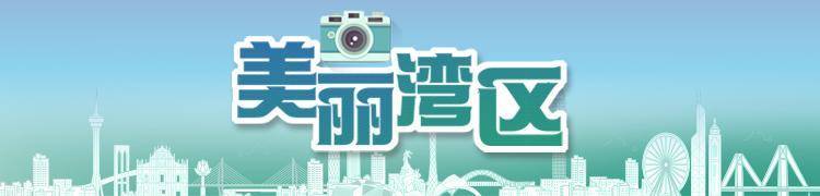 慕了！深圳人太幸福<strong></p>
<p>炒币说明</strong>，家门口邂逅百万荷花，城市诗意直接拉满