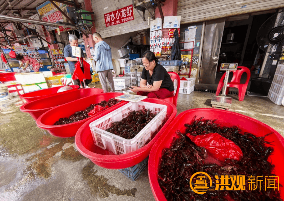 价格腰斩<strong></p>
<p>炒华克金波段</strong>！13元/斤！南昌正大量上市