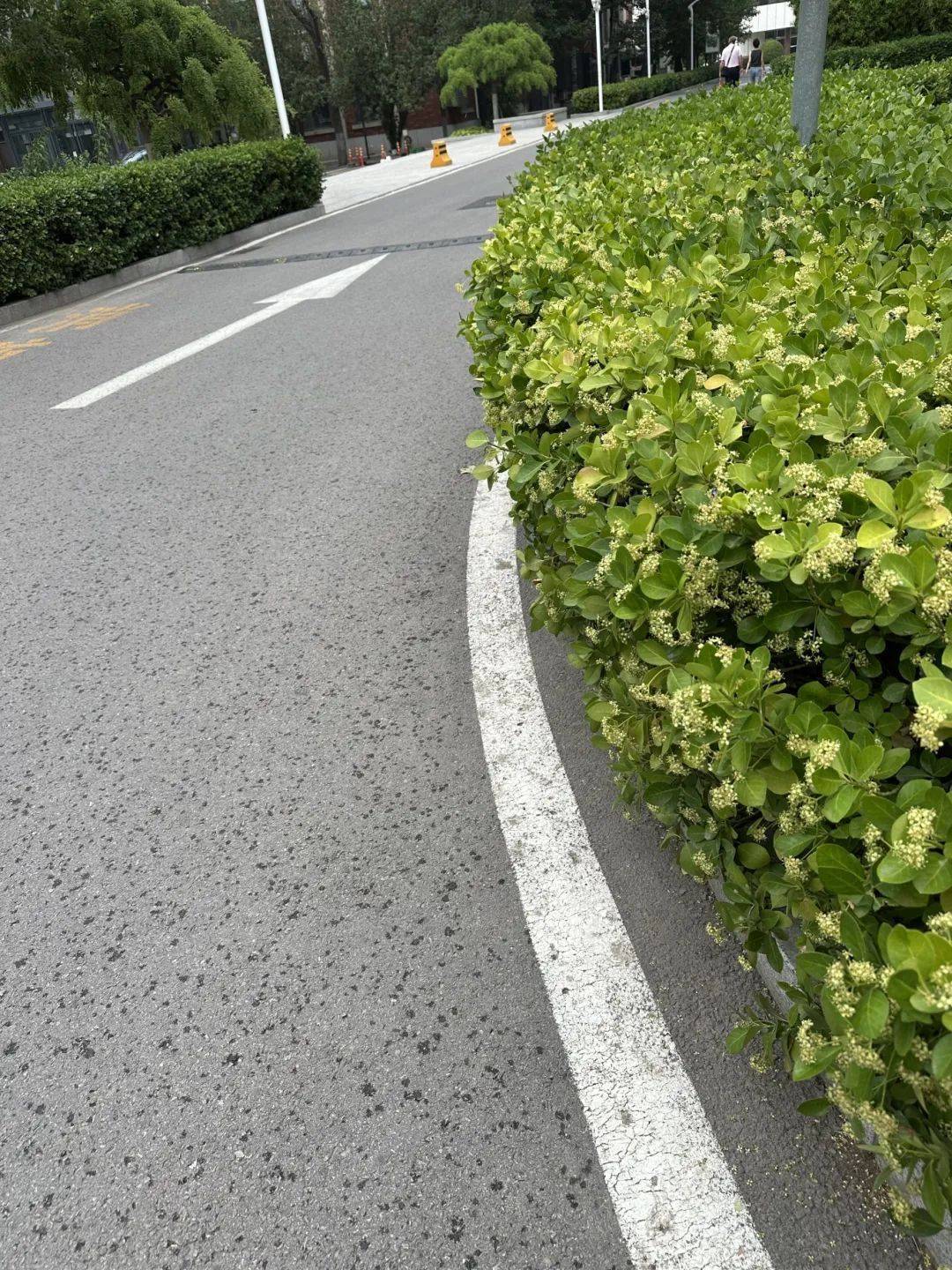 下雨了<strong></p>
<p>kcoin币行</strong>！天津接下来十天都是……