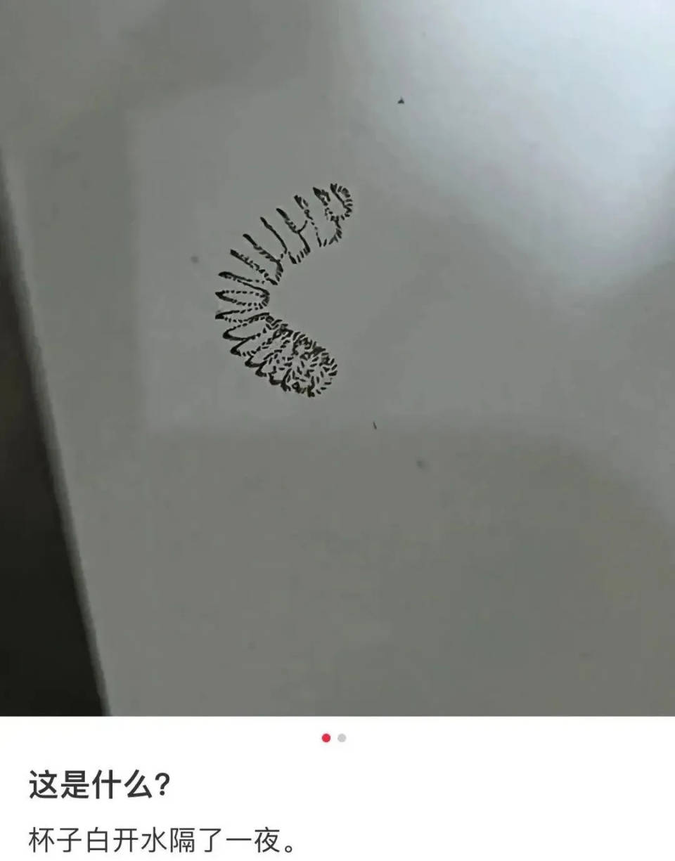 女子喝了隔夜水里的蚊子卵<strong></p>
<p>闪链币</strong>！专家：没事