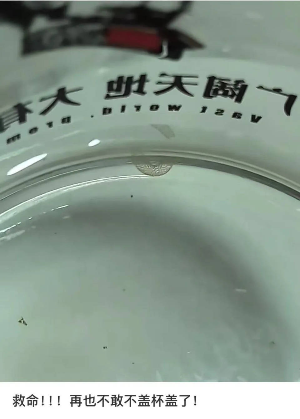 女子喝了隔夜水里的蚊子卵<strong></p>
<p>闪链币</strong>！专家：没事