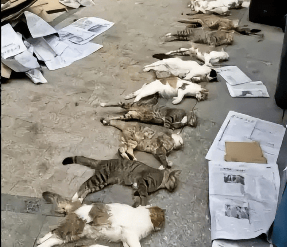 桂林编制考试刷掉第一名：别等社会淘汰你的孩子<strong></p>
<p>三元币</strong>，才后悔没教他