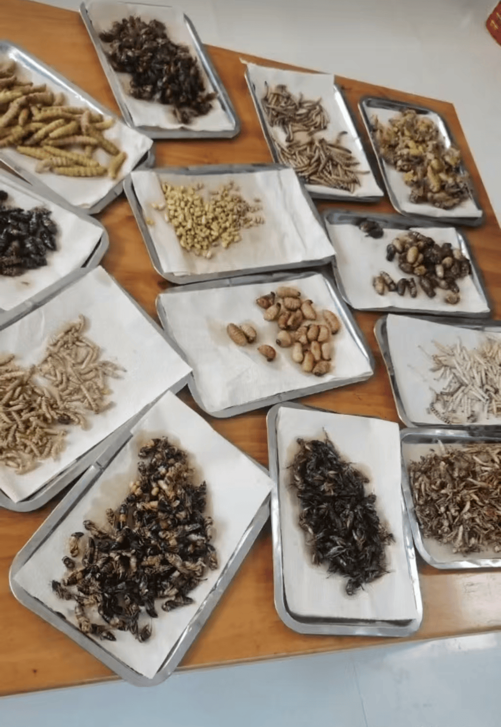 山东临沂通报“蛤蟆汤”饭店被拟罚45万：撤销处罚<strong></p>
<p>炒币基本知识</strong>，5人停职