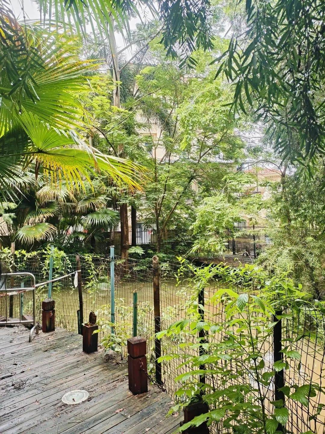 黄杨钿甜父母回应网络争议：“天价耳环”实际100多元<strong></p>
<p>炒币方法</strong>，别墅不是自家的，只是路过拍照