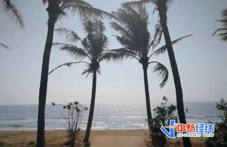 海南全岛封关时间定了<strong></p>
<p>币圈妙语</strong>！啥是封关？与你有啥关系？