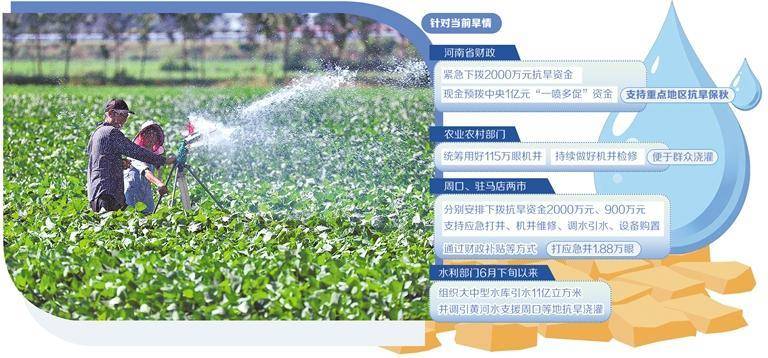 抗旱保秋河南在行动