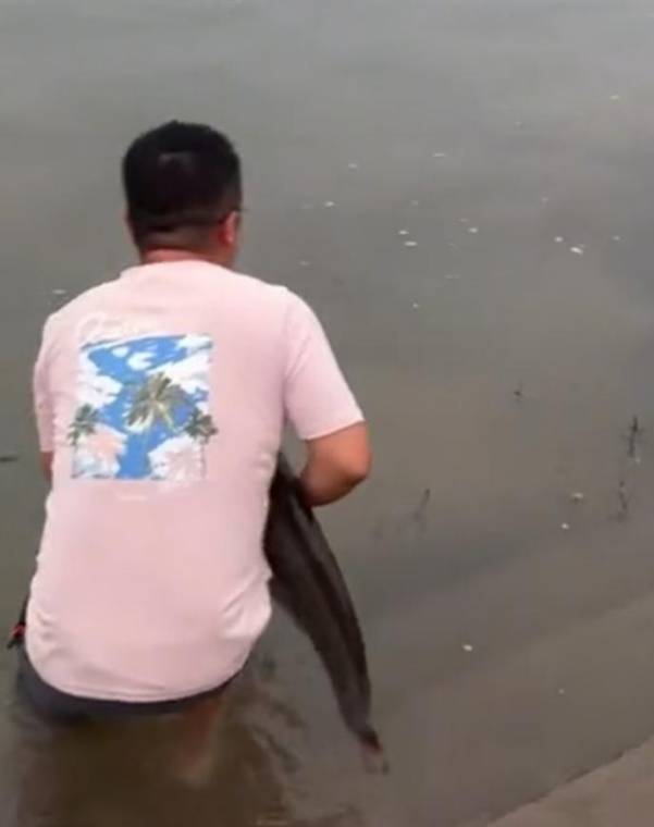 四川一男子钓1米长大鱼后放生<strong></p>
<p>币圈狂人</strong>，围观者高呼“卖给我”，回应：钓鱼是为娱乐