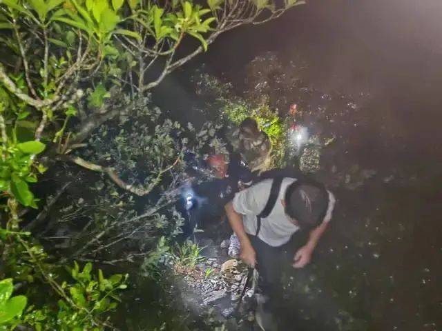 每人罚款5000元<strong></p>
<p>币讯</strong>！深圳开出全国首张罚单