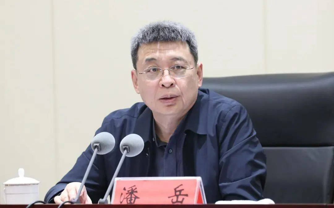 正部级潘岳<strong></p>
<p>翼鼠币</strong>，有新职