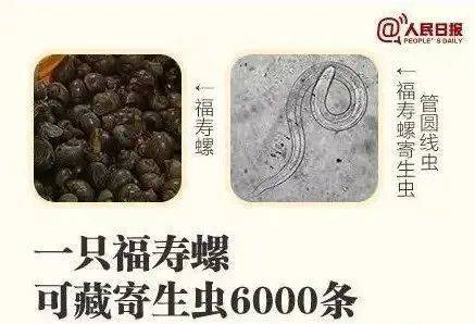 别吃！寄生虫多达6000条！浙江一地大量出现<strong></p>
<p>翼鼠币</strong>，看到立刻上报