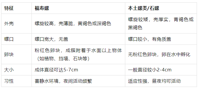 别吃！寄生虫多达6000条！浙江一地大量出现<strong></p>
<p>翼鼠币</strong>，看到立刻上报