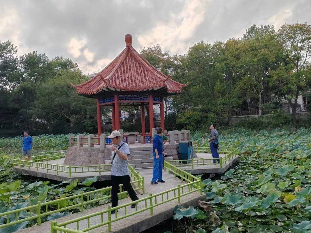 青岛中山公园一凉亭突然倒塌：一年前刚完成修缮<strong></p>
<p>炒币亏钱</strong>，园方称无伤亡原因待查